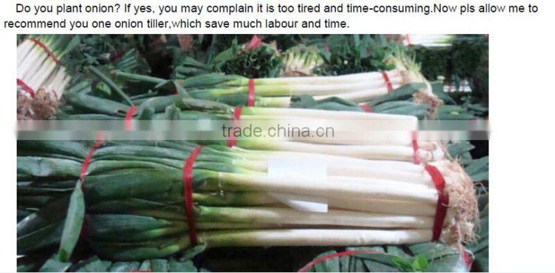 Cultivator Vegetable Garden Working