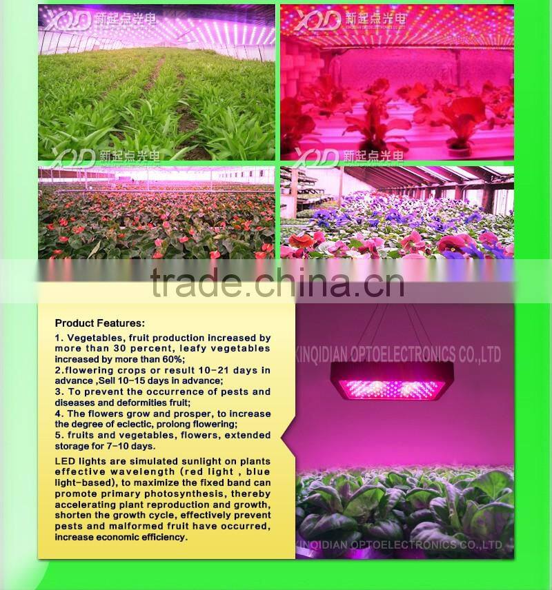 UV Red Blue indoor hydroponic 300w led grow lamp