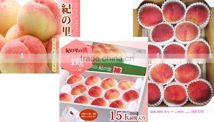 Delicious Komitsu Fuji apple , other fruits also available