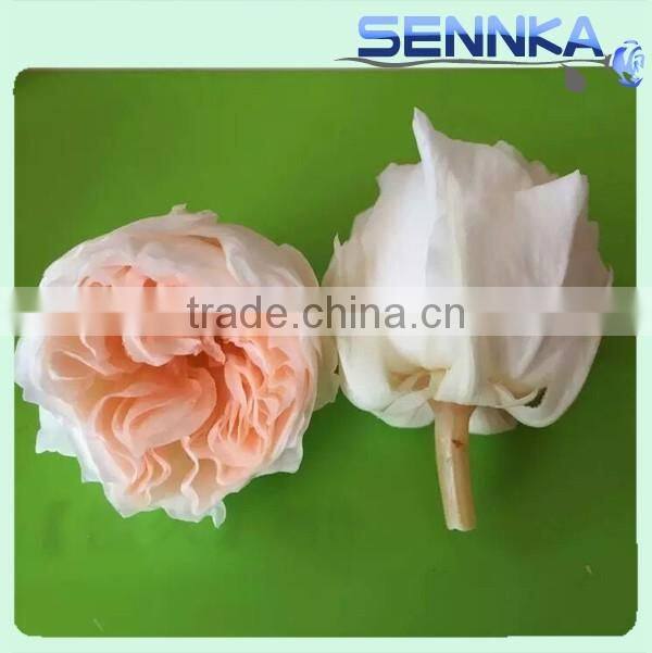 Fresh cut roses Preserved Fresh Flower Asuting Rose For Wedding Decoration