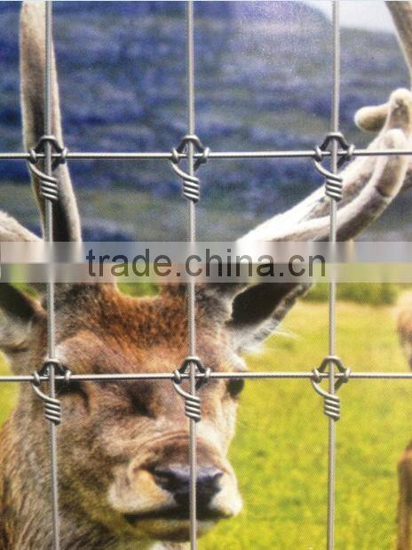 high quality cross knot fence/deer fence (Deming factory, ISO900 certificate)