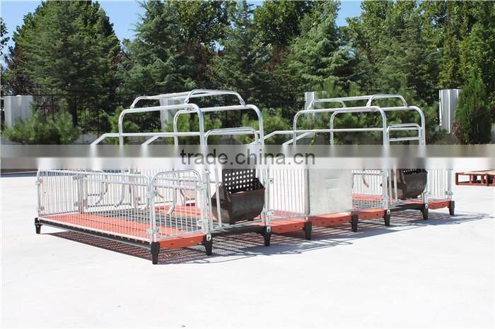 Pig Breeding Equipment/pig farming equipment/equipment for pig/piglet equipment