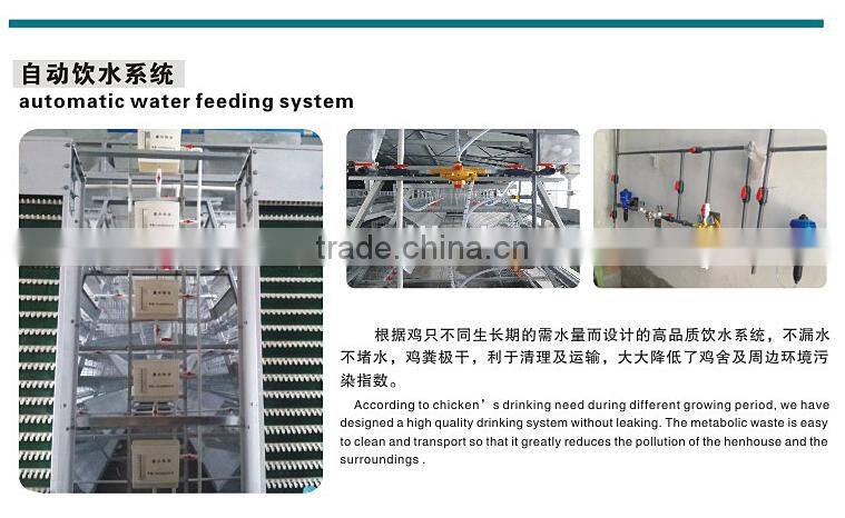 Factory hot-sale high quality layer quail cages for sale in poultry farm