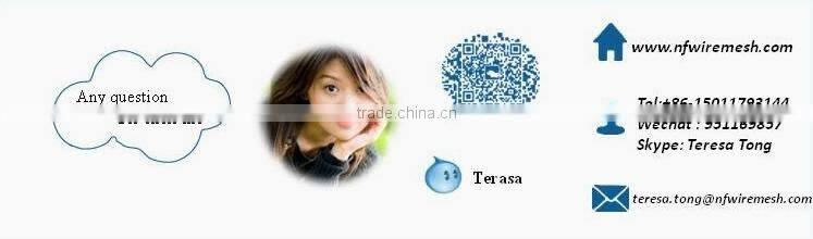 Welded Mesh 10-90 Mesh 304/316 Material Stainless Steel Wire Mesh for Window Screen(Guangzhou Factory)