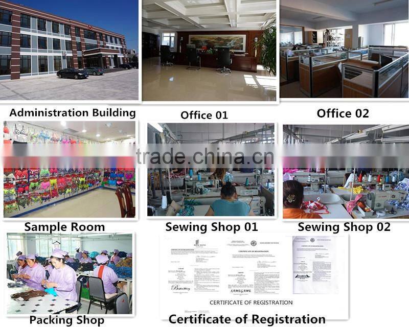 2014 wholesale brazilian sexy beachwear bikini swimwear