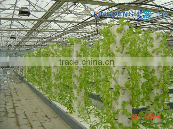 Multi Span Agricultural Double Layer Hollow Glass Greenhouse ISO9001:2008