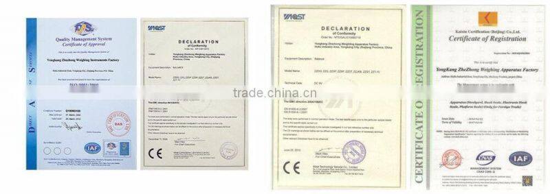 portable digital hanging strap luggage scales weighing