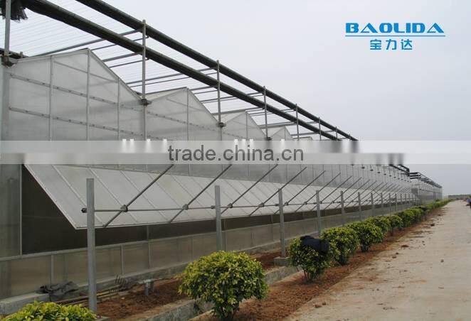 Hot Sale Agriculture Used PCsheet Greenhouse commercial used