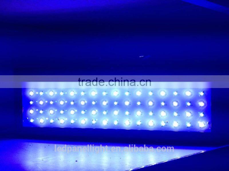 ShenZhen CHINA 864w aquarium fish tank light imported