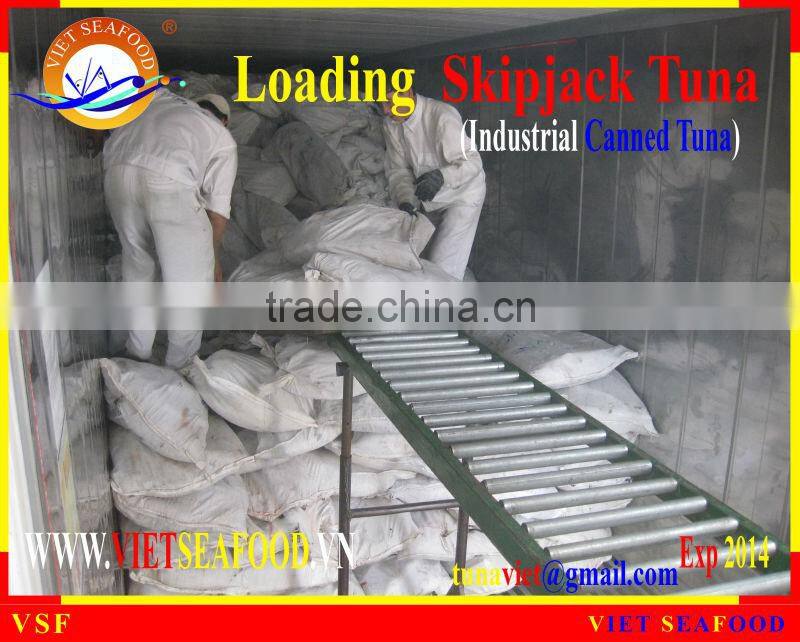 LOADING FROZEN SKIPJACK TUNA W/R