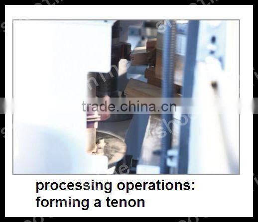 Single Sided Cutting Boring Moulding Machine SHTTF2 with ing length 2500mm and ing length 100mm