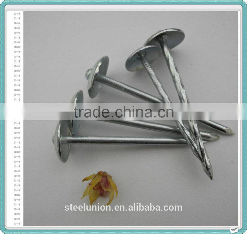 Electro Galvanized Roofing Nails/Umbrella Nails Factory
