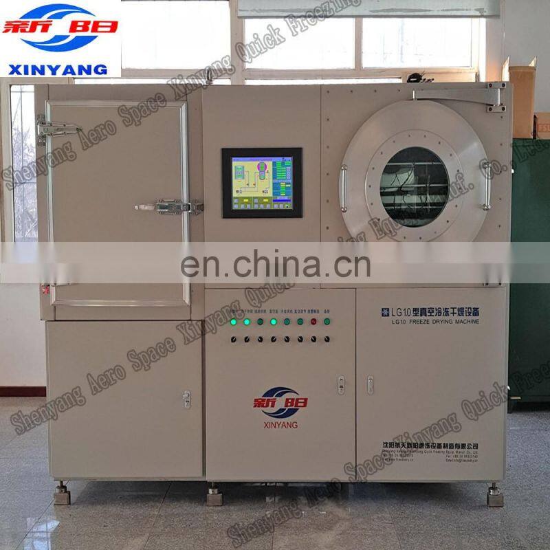 Fresh fruit lyophilizer mini machine for sale scale LG1.0