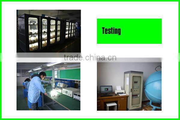 HB-RD201B 200w 250w low frequency induction street lighting