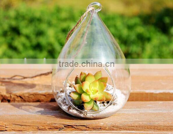 Hanging Ball Shaped Glass Vase, Beautiful Home Decoration Vase,