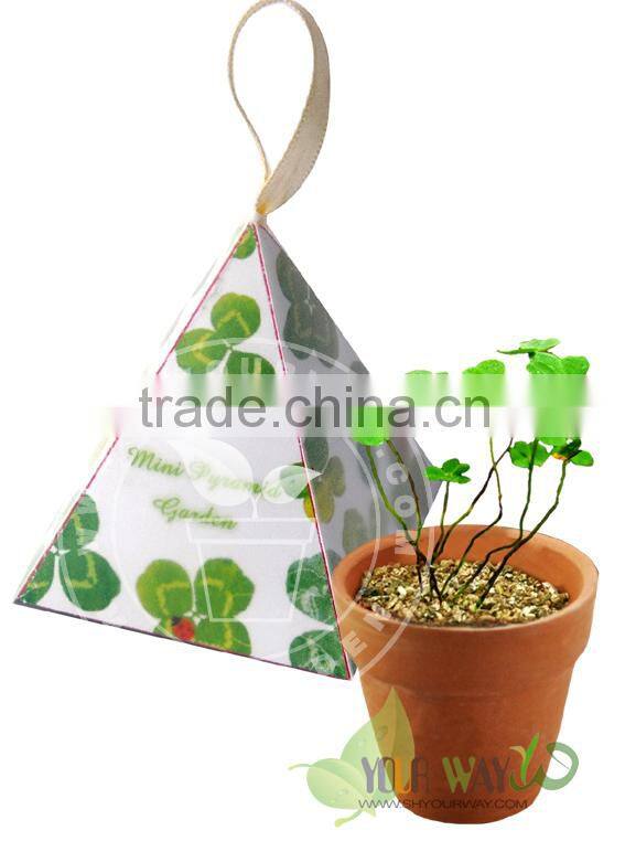 Mini Pyramid Garden, Flower Garden,Sunflower