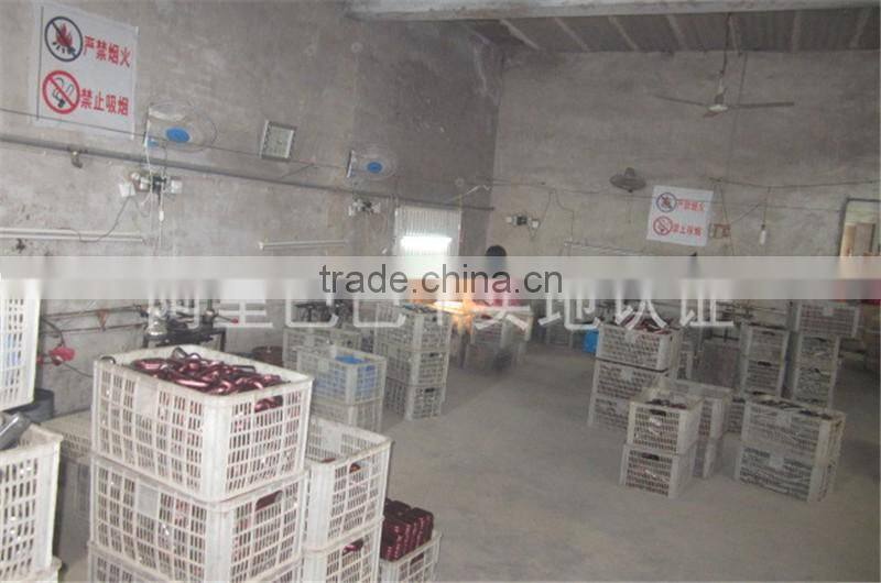 plastic eyeglasses folding eyeglasses box
