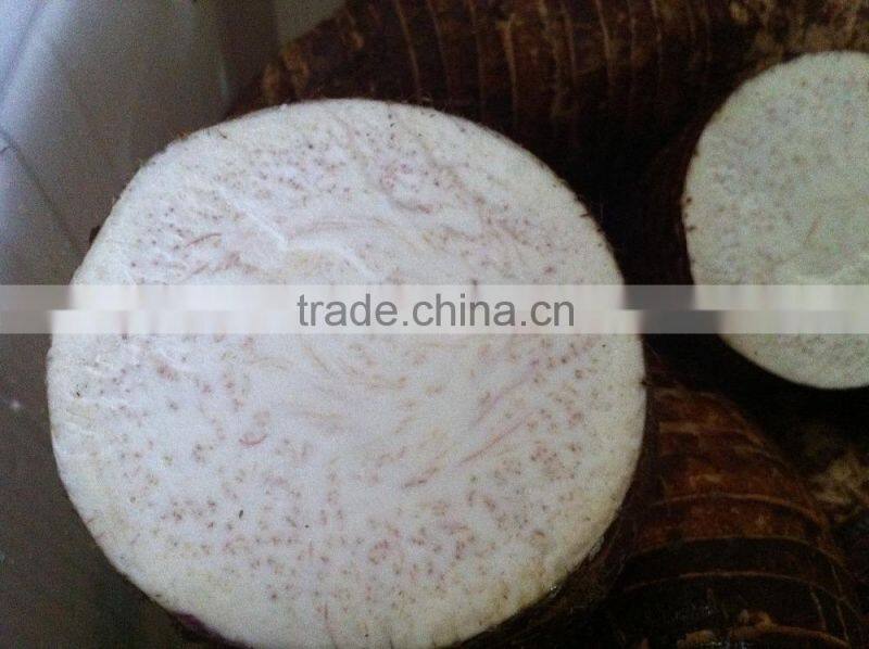 Big size and small size normal fresh taro