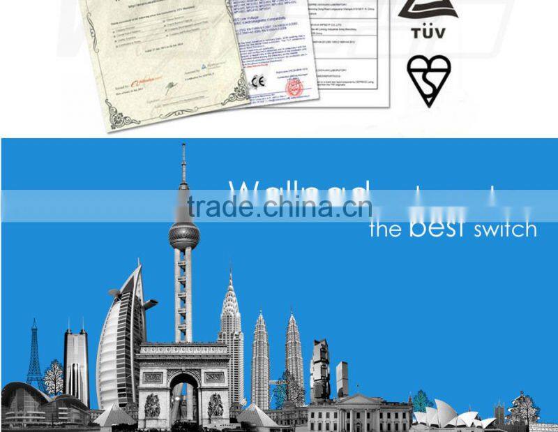 BS CE Approved Wallpad Gold Temepred Glass Switch Remote 1 Gang Wireless Electric Touch Screen Sensor Smart Home Switch Panel