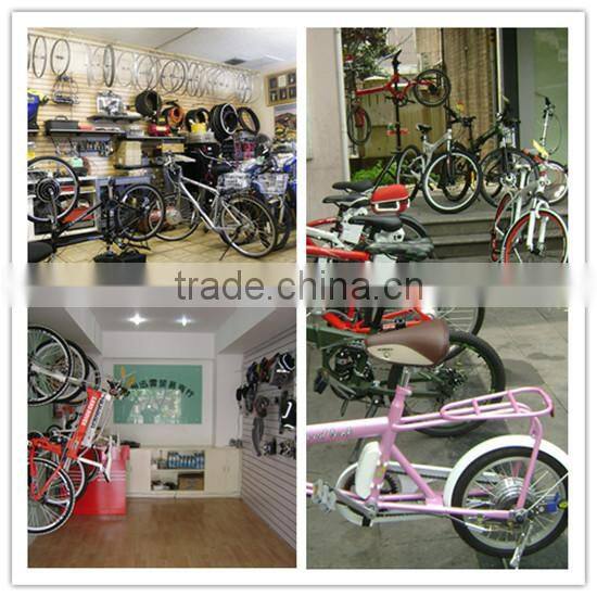 250W DIY SLA sliding rack li-ion battry e-bike kits