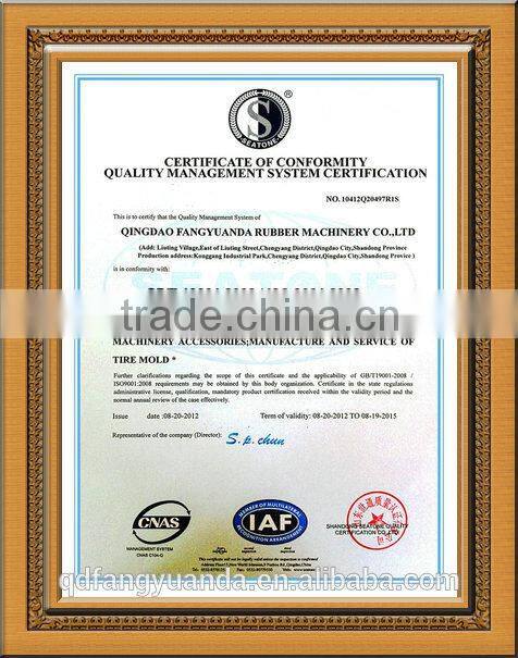 China Professional Tyre Curing Press Machine