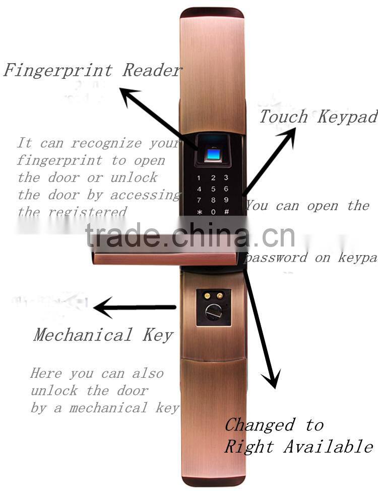 2016 Convenient Keypad Fingerprint Door Magnetic Lock China
