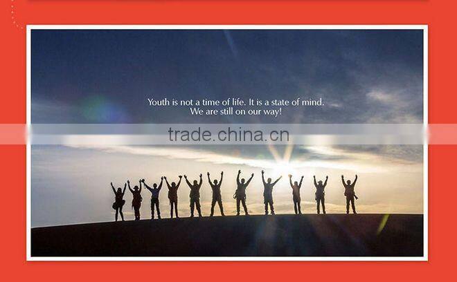 ZOPO ZP999 Standard Lion Heart 4G Smartphone MTK6595 5.5 Inch FHD Octa Core 2.0GHz Android 4.4 2GB 16GB 14.0MP