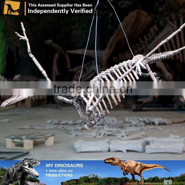 MY Dino-C064 Theme park pterosaur skeleton for sale