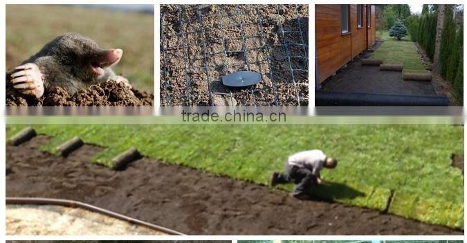 14x14mm anti-mole net(professional factory,lowest price with best quality)