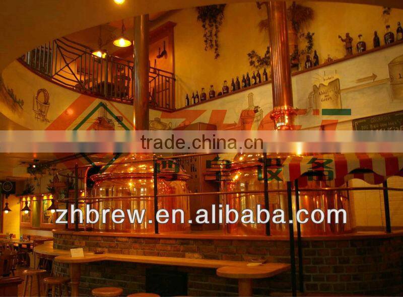 300L micro red copper beer brewing complete machine