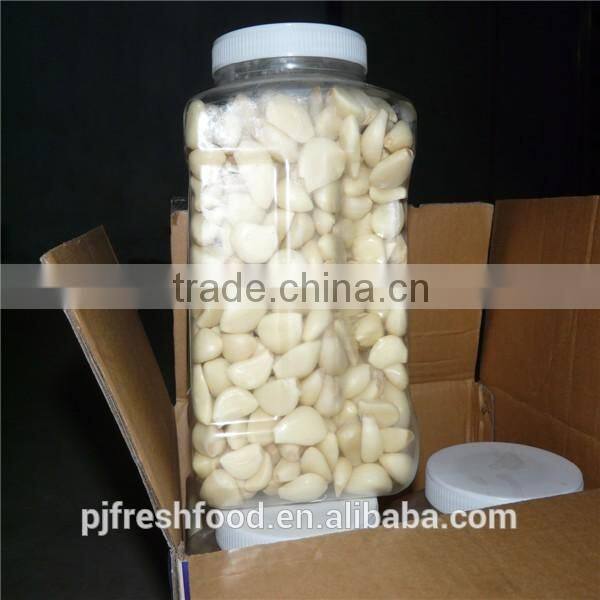 Fresh peeled garlic 5lbx6bg/carton