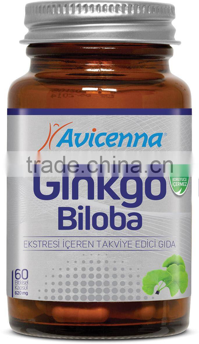 Ginkgo Leaf Brain Supplements