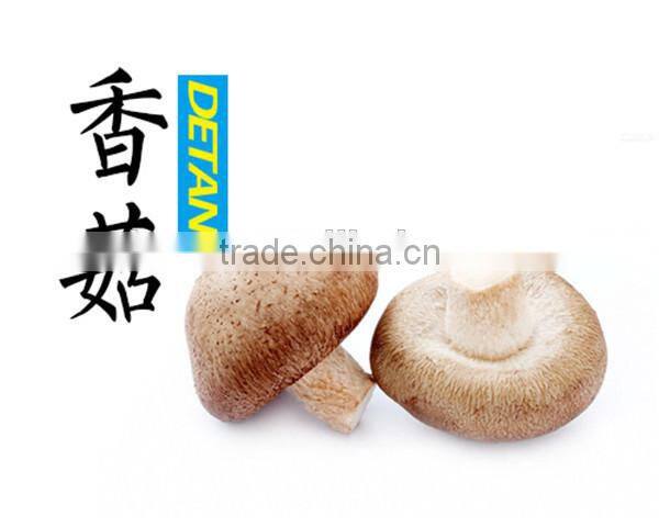 Dried Shitake Mushroom for Importer