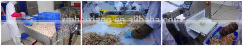 Export dried squid snacks