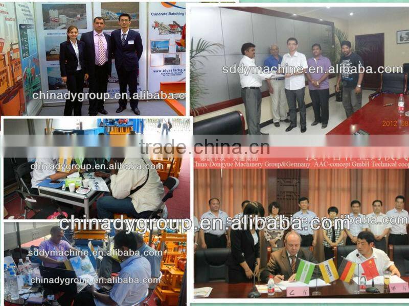 Dongyue simens motor PLC control Bamboo Pallet block making machine in libya