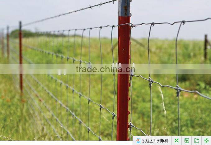 cheap Price Metal t Bar Fence Post,studded t post