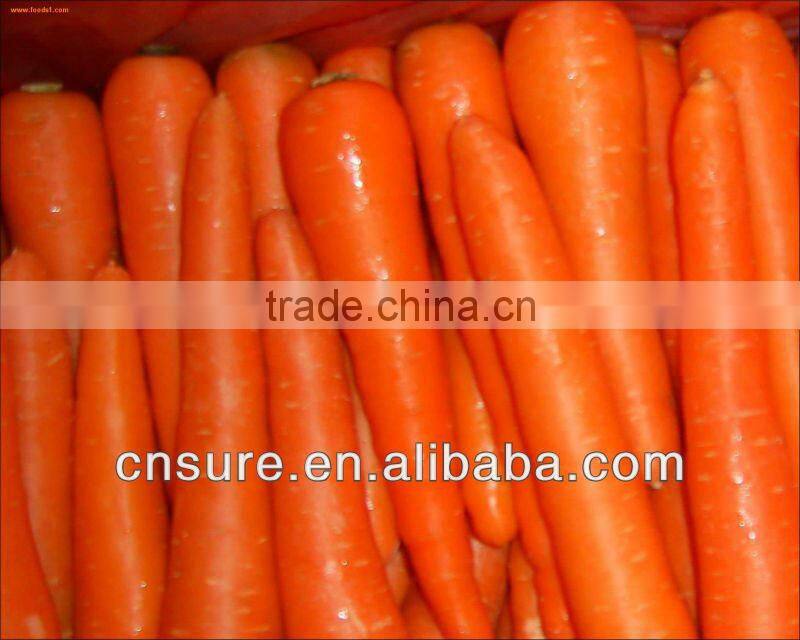 Carrot Washing Peeling Prodcution Line Processing Line