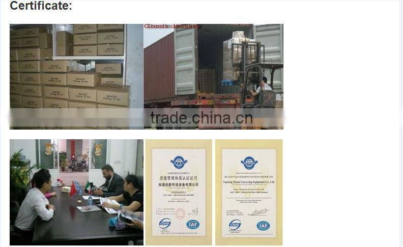 FTM1060 Plastic Flat Top Magnetflex ChainBelt