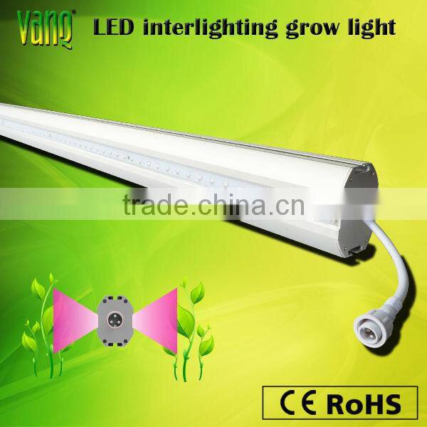 High PAR interlighting 150W LED grow light bar cucumber tomato strawberry