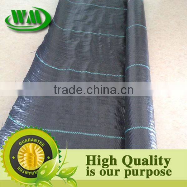 black plastic ground cover mesh