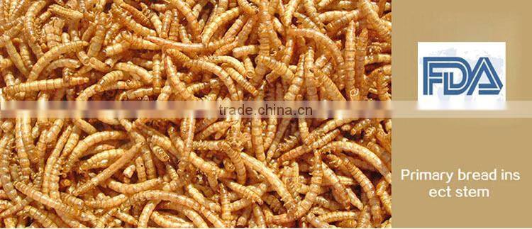 Dried Mealworms meet FDA Certification and ISO 9001