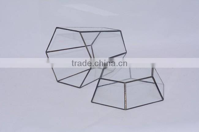 Micro Landscape Geometric Air Plant Succulent Glass Container Vase Pot Terrarium