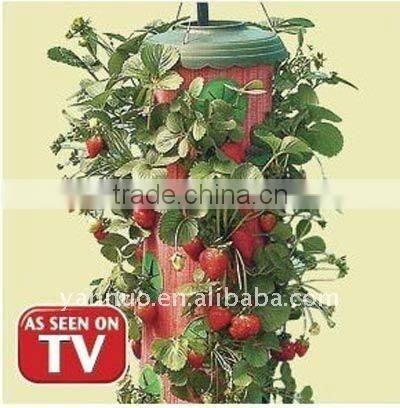 Planter,Topsy Turvy ,Hot Pepper Planter