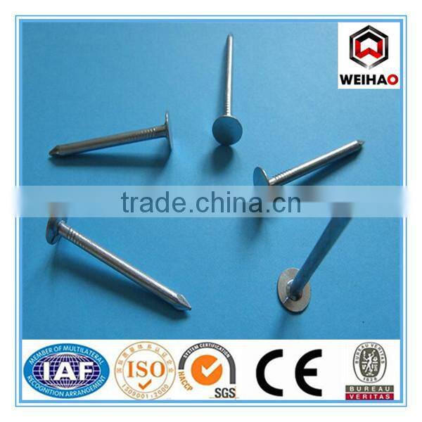 roofing nail with flat head