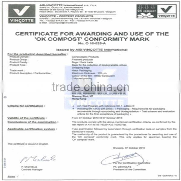 Attractive green block bottom soft loop handle bag