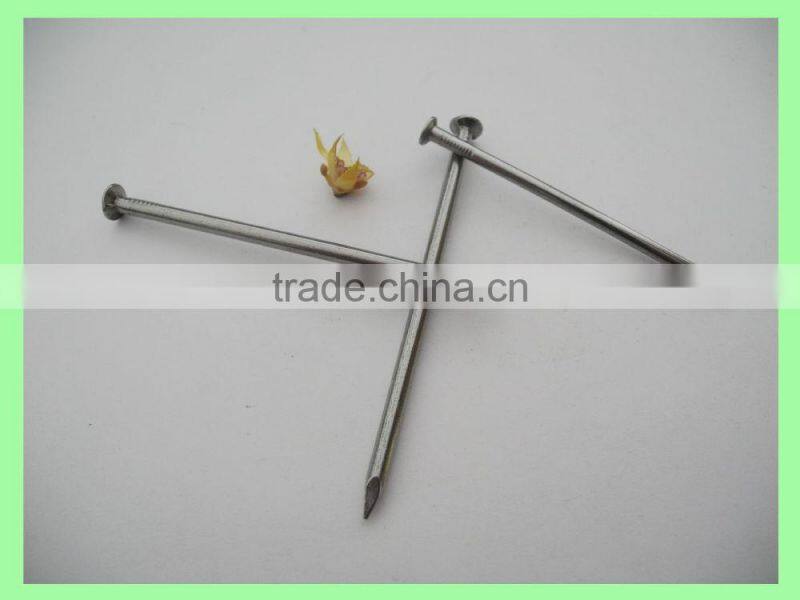 common nails for fasterner/common wire nails china supplier