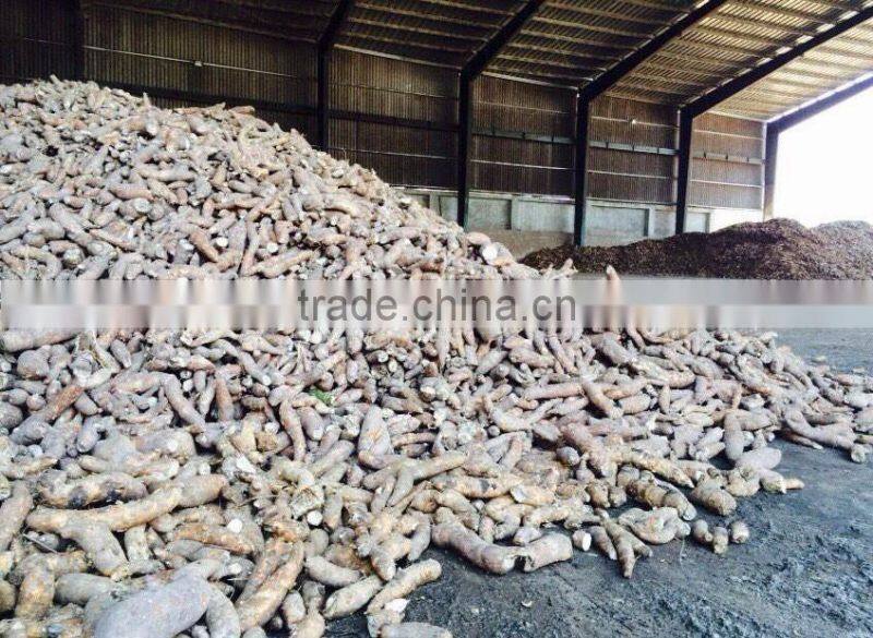 Good Starch for Good food - Native Tapioca Starch