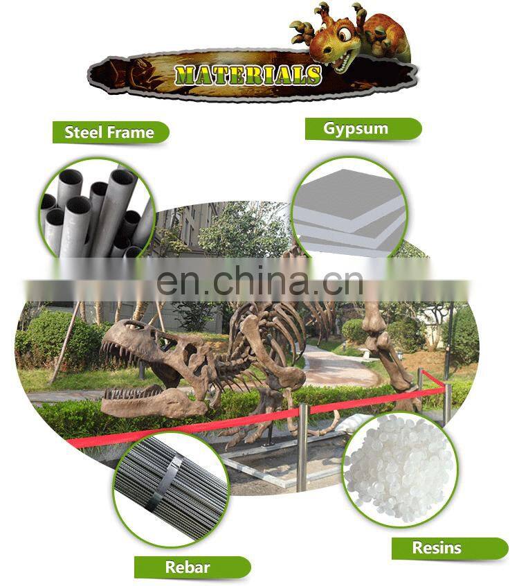 roaring vivid dinosaur skull fossil for museum exhibition