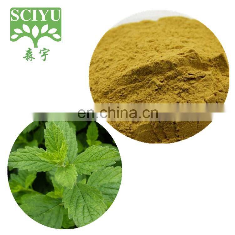 Melissa officinalis Herb Extract Lemon Balm Extract Powder