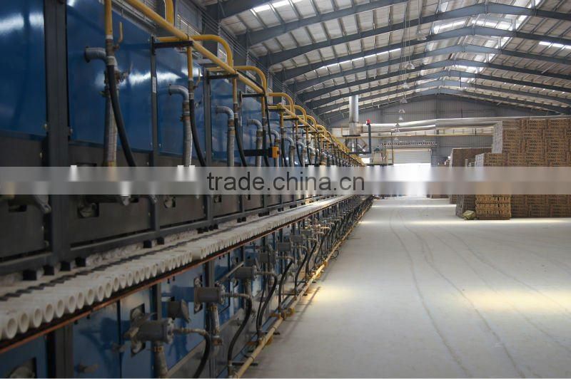 wall & floor tile 300x300mm